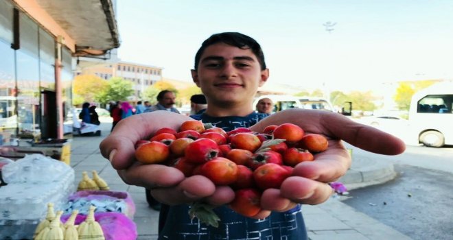 Kışın Habercisi Alıç Tezgahta