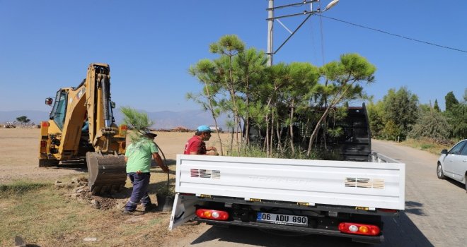 Turgutlunın Kırsal Mahalleleri Ağaçlandırılıyor