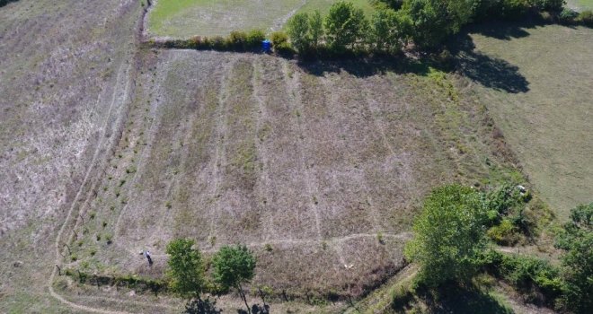 Sinopta Bir Vatandaşa Ait Ceviz Fidanları Kesildi