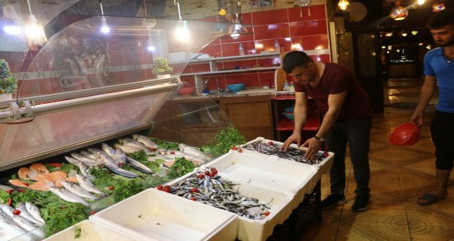 Siirtte Av Yasağı Kalktı Balık Çeşitleri Arttı