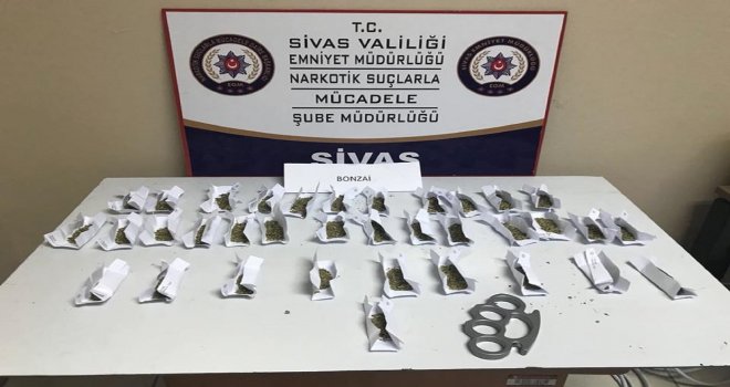 Satışa Hazır Bonzai Ele Geçirildi