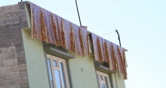 Bağ Bozumu İle Şiracılarin Zorlu Mesaisi Başladı