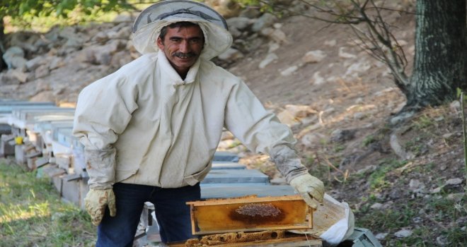 İşçi Olarak Gittiği İsviçreye Bal İhraç Etti
