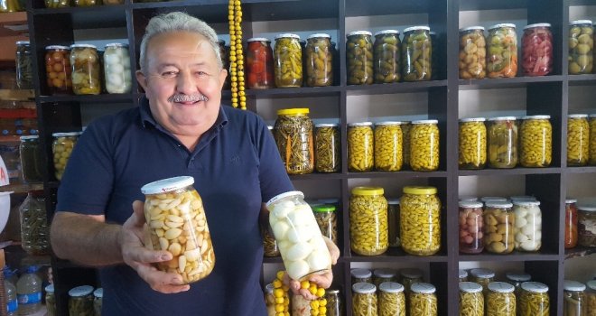 Kıbrısa Gezmeye Gitti, Turşucu Oldu