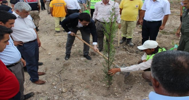 Sumbasta 15 Temmuz Hatıra Ormanı Oluşturuldu