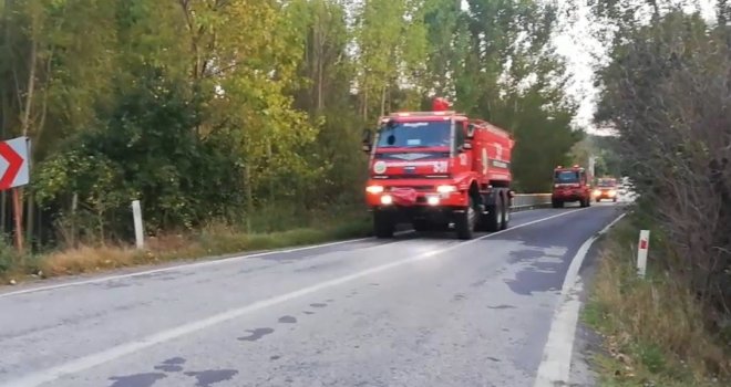 Tavşanlıdaki Orman Yangını Kontrol Altında