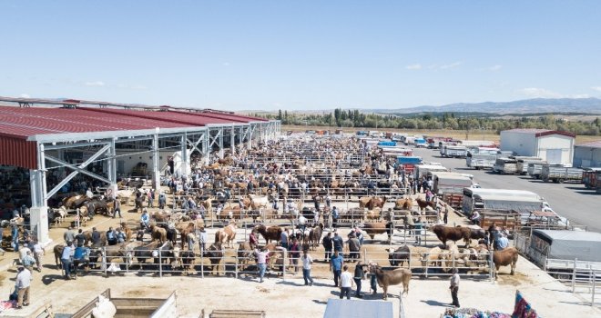 Çorumda Hayvan Pazarı 8 Ekimde Açılacak