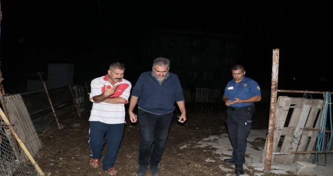 400 Bin Tl Değerindeki İngiliz Yarış Atı Yavrusuyla Birlikte Çalındı