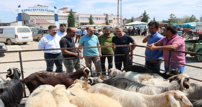 Başkan Özaltun, Hayvan Pazarını Ziyaret Etti