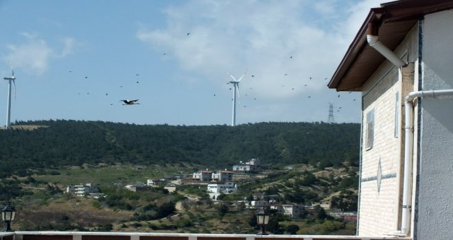 Belende Göçmen Kuşların Geçiş Güzergahına Kuş Gözlem Merkezi