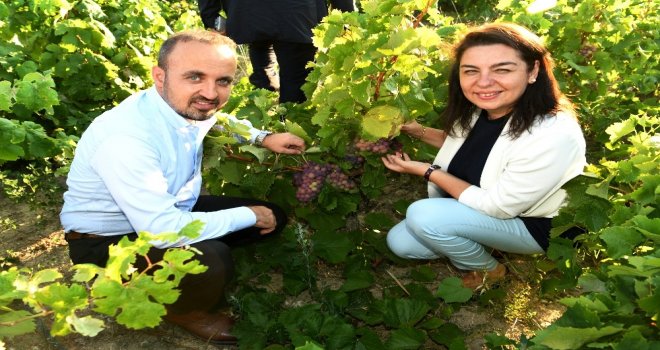 Turandan, Bozcaadaya Ziyaret