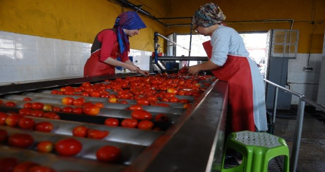 Salçaya Kadın Eli Değdi