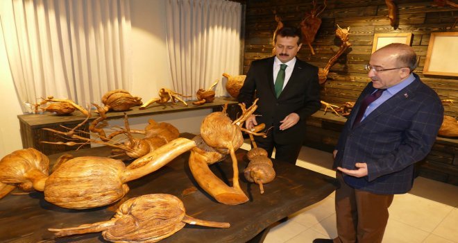 İşadamı Sözenin 20 Yıldır Topladığı Ağaç Kökleri Trabzonda Müze Oldu