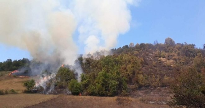 Bartında Ormanlık Alanda Çıkan Yangın Söndürüldü
