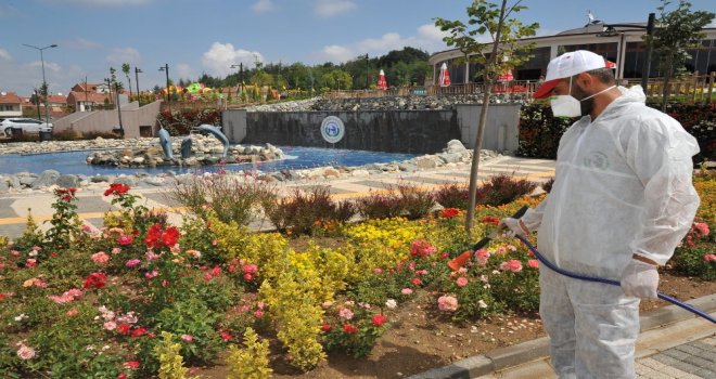 Bozüyükte Parklar Her Daim Yeşil