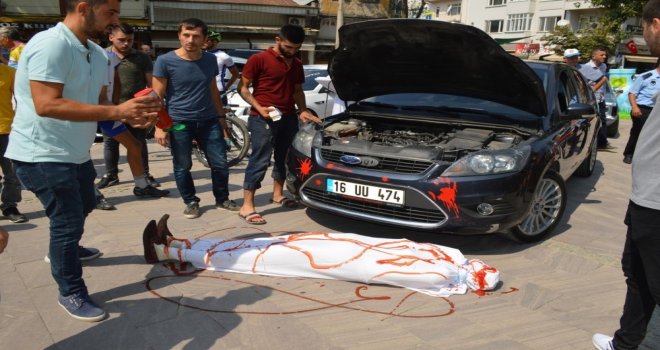 Cesetli Sergi Ürküttü