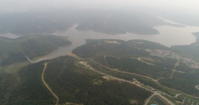Sultangazi Mimar Sinan Şehir Ormanında Cemal Kaşıkçının İzi Arandı