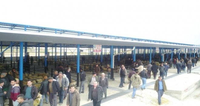 Çivril Hayvan Pazar Yeri Kurbana Hazır