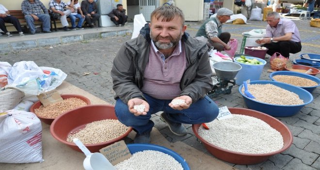 Simav Göl Fasulyesi Zamma Direniyor