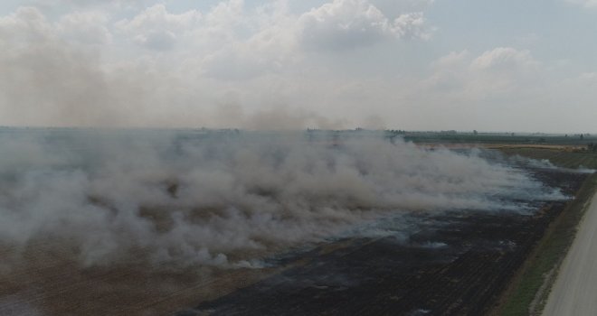 Çukurovada Mısır Hasadıyla Birlikte Anız Yangınları Da Başladı