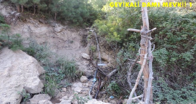 Orman Bölge Müdürlüğünden Zeytin Yaylası Açıklaması