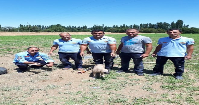 Günyüzünde Su Kuyusuna Düşen Yavru Köpeği İtfaiye Ekipleri Kurtardı