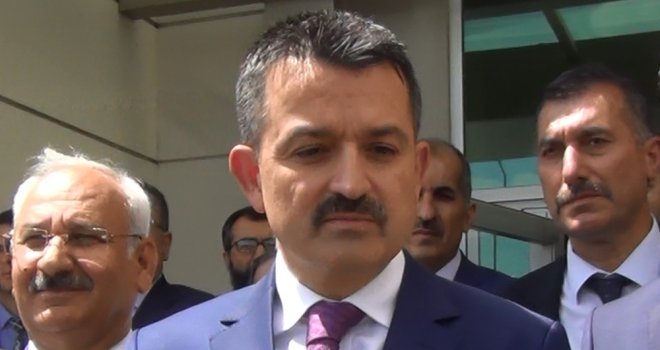 Bakan Pakdemirli: Kurbanlık Hayvan Büyükbaş 1,2, Küçükbaş 3,8 Milyon