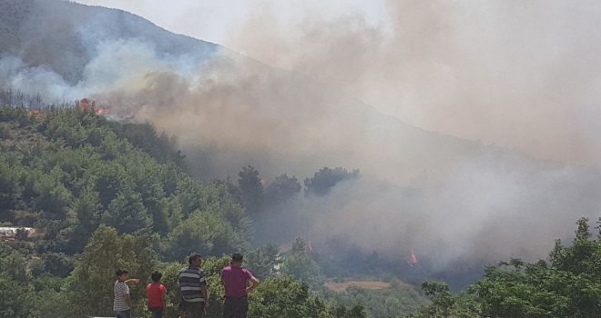 Hatayda Orman Yangını