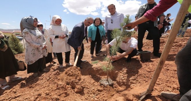 Çöp Sahası Yeşerecek