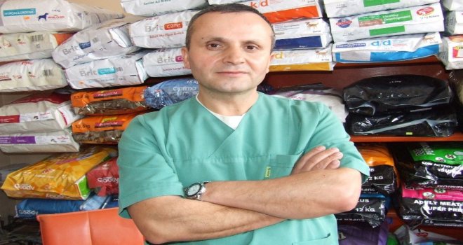 Kurbanlık Hayvan Seçerken Dikkat Edilmesi Gerekenler