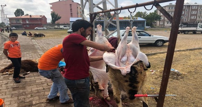 Karsta Kurbanlıklar Elde Kaldı