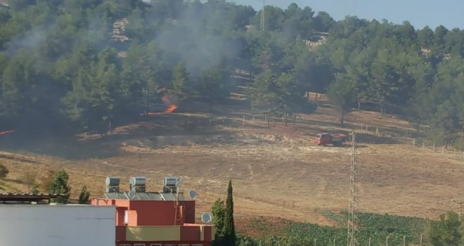 Karadağ Hatıra Ormanı 8. Kez Yandı