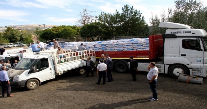 Çiftçilere 134 Ton Buğday Dağıtıldı