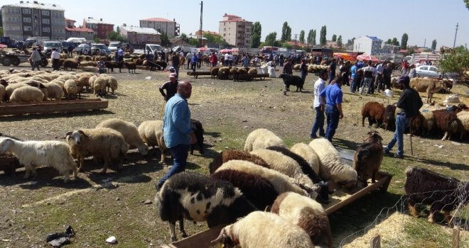 Karsta Kurban Pazarında Bayram Yoğunluğu