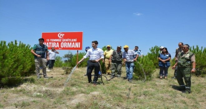 Selendide 15 Temmuz Şehitleri Hatıra Ormanı Oluşturuldu