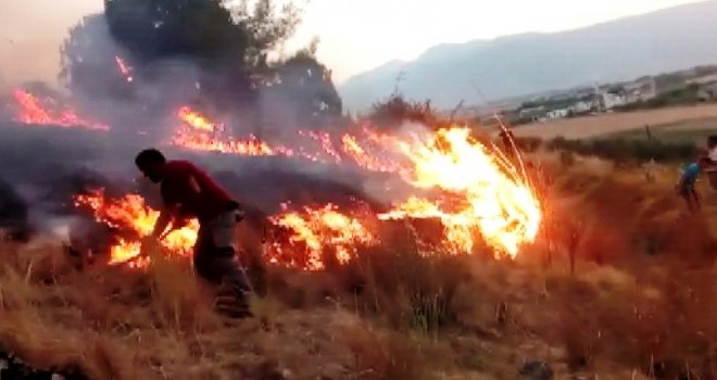Kahramanmaraşta Orman Yangını