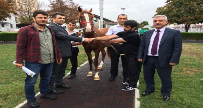 Lüks Daire Fiyatına Tay