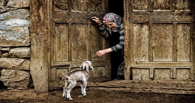 Can Yoldaşım İsimli Fotoğraf Yarışmasının Sonuçları Açıklandı