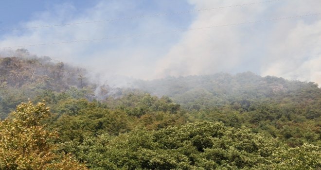 Kastamonuda Çıkan Orman Yangını Helikopter İle Söndürüldü