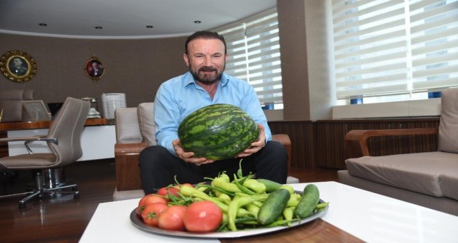 Uygulama Bahçesinin İlk Mahsulleri Doğana