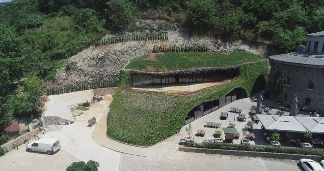 Trabzonda 450 Kişilik Hobbit Evi Yapıldı