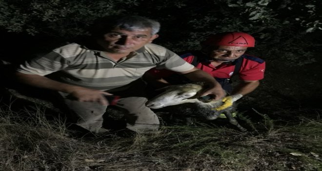 Kuyuya Düşen Kurbanlık Koyunu İtfaiye Kurtardı