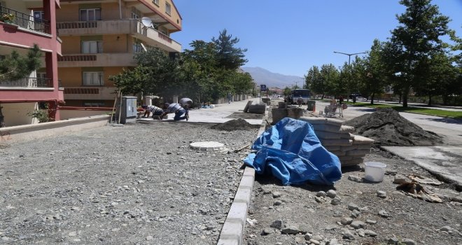 Başsoy, Çalışmaları Yerinde İnceledi