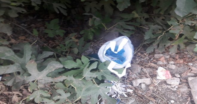 Stadyum Aribününde Uyuşturucu Zulası