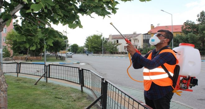 Aziziyede Kapsamlı İlaçlama Çalışması