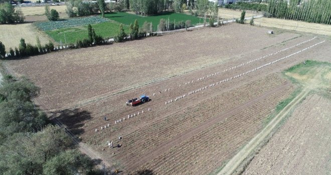 Üreticilerden Vatandaşlara: Patatesi Tarlatan Al, Stokçunun Zam Oyununu Boz