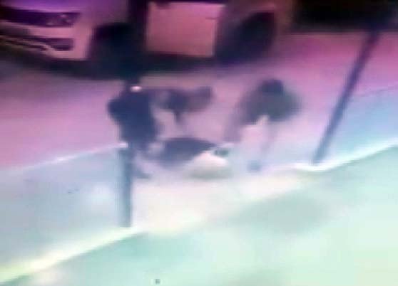 Pitbull Vahşeti Güvenlik Kamerasında