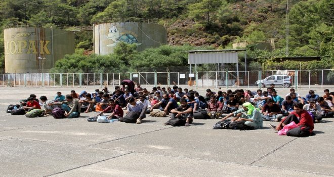 Pakistan Uyruklu 73 Kaçak Göçmen Yakalandı