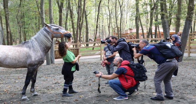 Fotoğraf Tutkunları Kocaelide Buluştu