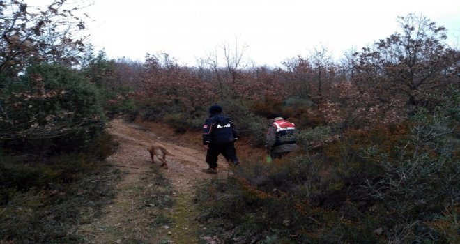 Çanda Mantar Toplarken Kaybolan Yaşlı Kadın Bulundu